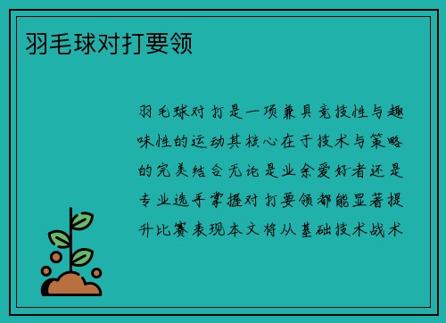 羽毛球对打要领
