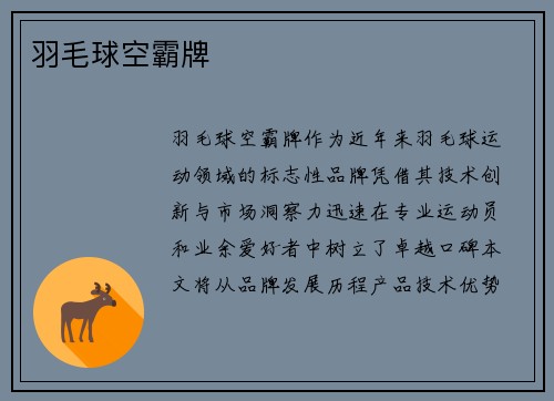 羽毛球空霸牌